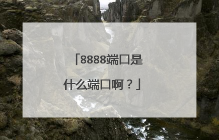 8888端口是什么端口啊？