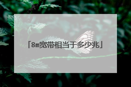 8m宽带相当于多少兆