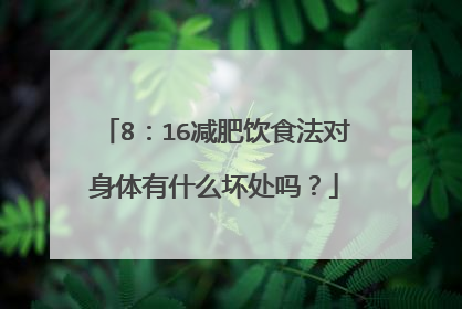 8:16减肥饮食法对身体有什么坏处吗?