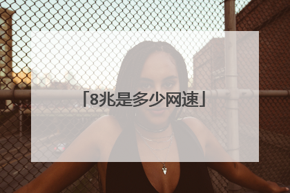 8兆是多少网速