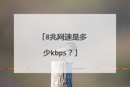 8兆网速是多少kbps?