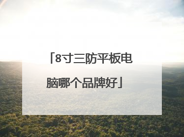 8寸三防平板电脑哪个品牌好