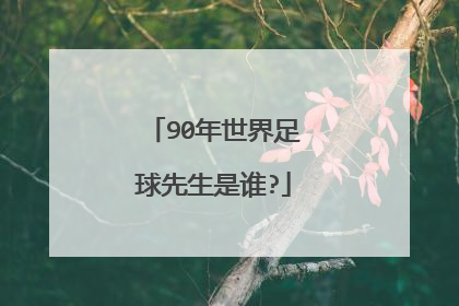 90年世界足球先生是谁?