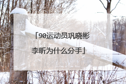 90运动员巩晓彬李昕为什么分手