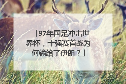 97年国足冲击世界杯,十强赛首战为何输给了伊朗?