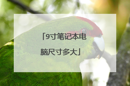 9寸笔记本电脑尺寸多大