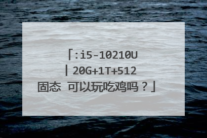 :i5-10210U丨20G+1T+512固态 可以玩吃鸡吗？