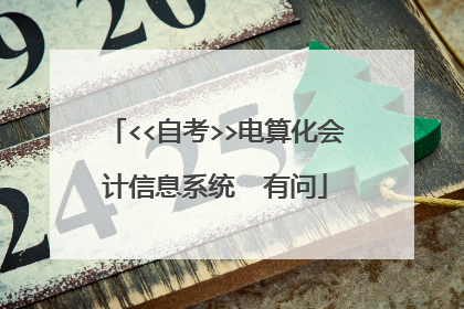 <<自考>>电算化会计信息系统 有问