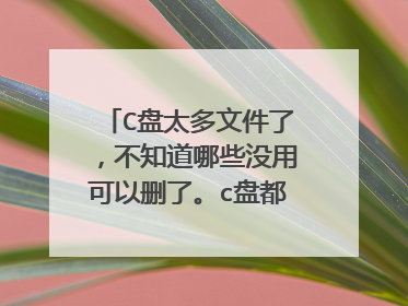 C盘太多文件了,不知道哪些没用可以删了。c盘都成红色了?