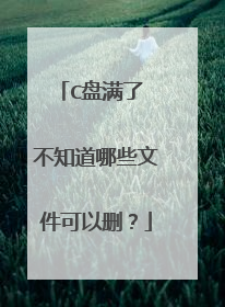 C盘满了 不知道哪些文件可以删?