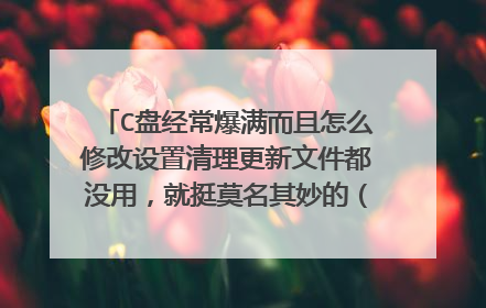 C盘经常爆满而且怎么修改设置清理更新文件都没用,就挺莫名其妙的(Win10)?