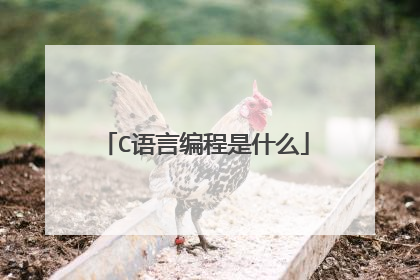 C语言编程是什么