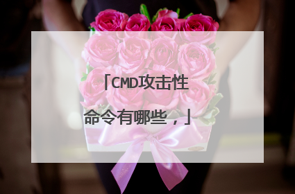 CMD攻击性命令有哪些，