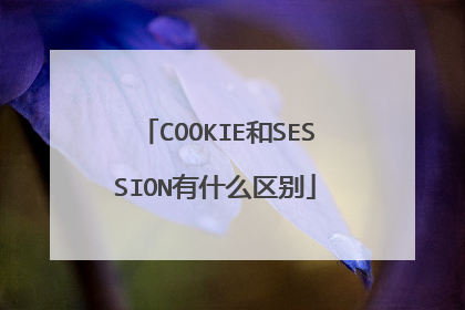 COOKIE和SESSION有什么区别