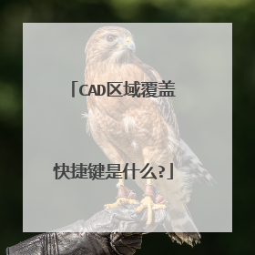 CAD区域覆盖快捷键是什么?