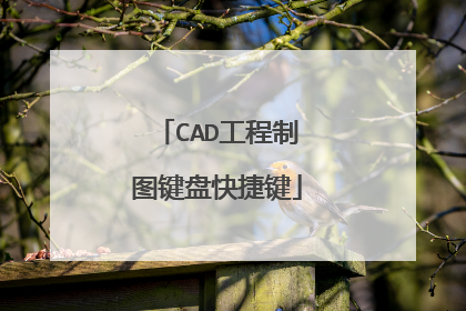 CAD工程制图键盘快捷键