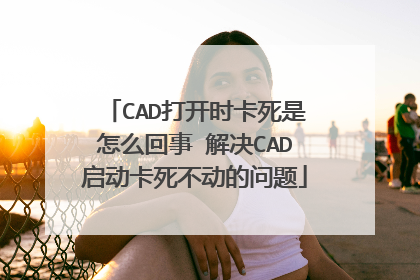 CAD打开时卡死是怎么回事 解决CAD启动卡死不动的问题