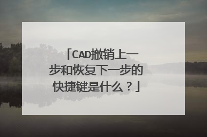 CAD撤销上一步和恢复下一步的快捷键是什么？
