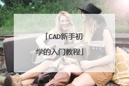 CAD新手初学的入门教程