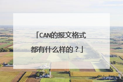 CAN的报文格式都有什么样的?