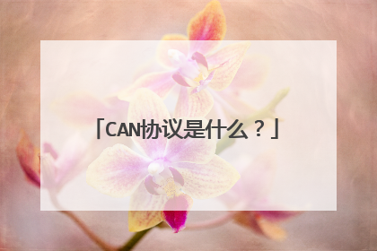 CAN协议是什么?