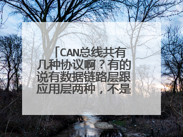 CAN总线共有几种协议啊?有的说有数据链路层跟应用层两种,不是特别明白,求详解,谢谢啦!我是初学者