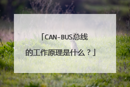 CAN-BUS总线的工作原理是什么?