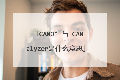 CANOE 与 CANalyzer是什么意思