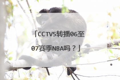 CCTV5转播06至07赛季NBA吗？
