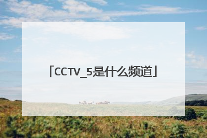 CCTV_5是什么频道