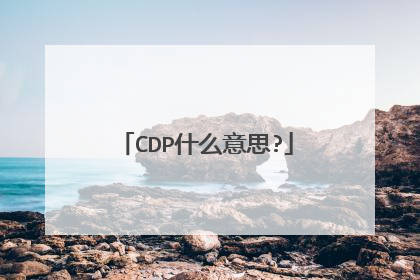 CDP什么意思?