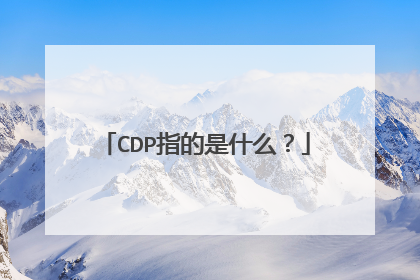 CDP指的是什么？