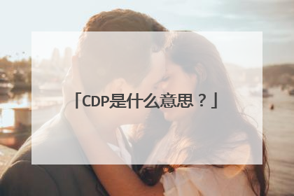 CDP是什么意思？