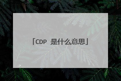 CDP 是什么意思