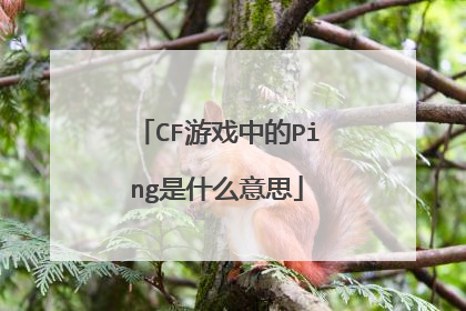 CF游戏中的Ping是什么意思