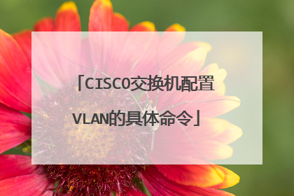 CISCO交换机配置VLAN的具体命令
