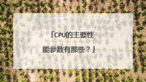 CPU的主要性能参数有那些？