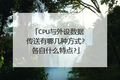 CPU与外设数据传送有哪几种方式?各自什么特点?