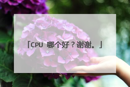 CPU 哪个好?谢谢。
