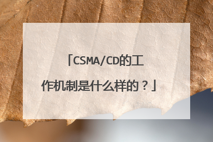 CSMA/CD的工作机制是什么样的？