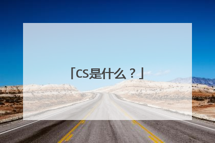 CS是什么？