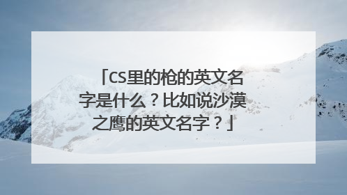 CS里的枪的英文名字是什么?比如说沙漠之鹰的英文名字?