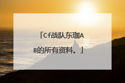Cf战队东珈AB的所有资料。