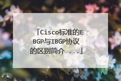 Cisco标准的EBGP与IBGP协议的区别简介 ...