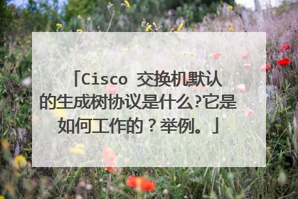 Cisco 交换机默认的生成树协议是什么?它是如何工作的？举例。