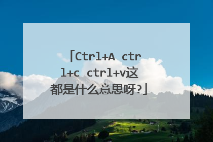 Ctrl+A ctrl+c ctrl+v这都是什么意思呀?