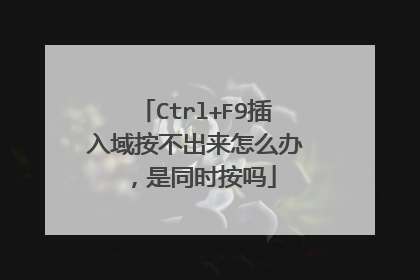 Ctrl+F9插入域按不出来怎么办,是同时按吗