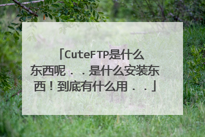 CuteFTP是什么东西呢..是什么安装东西!到底有什么用..