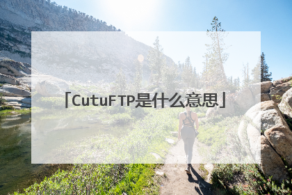 CutuFTP是什么意思