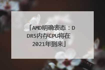 AMD明确表态:DDR5内存CPU将在2021年到来